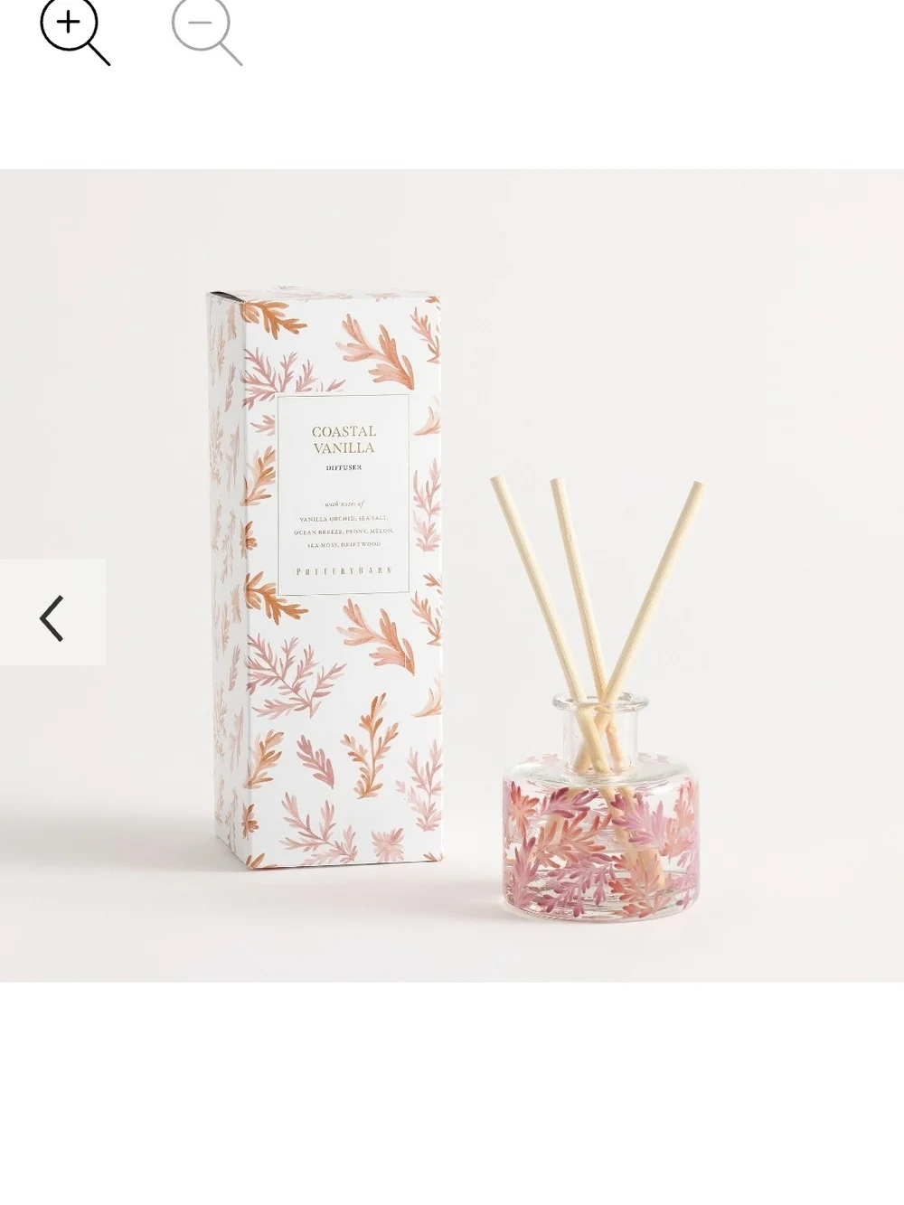 Pottery Barn Hand Painted Coastal Scent Collection Coastal Vanilla Reed Diffuser